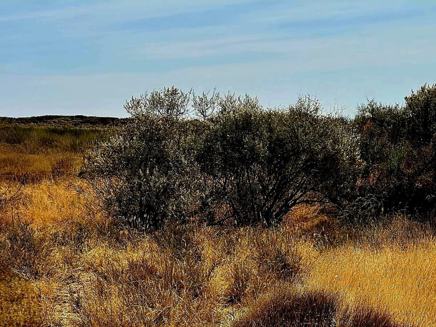 Commercial Property for Sale in Kimberley Rural Northern Cape